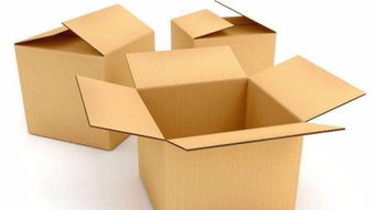 大紙箱 從紙板到實用包裝的藝術